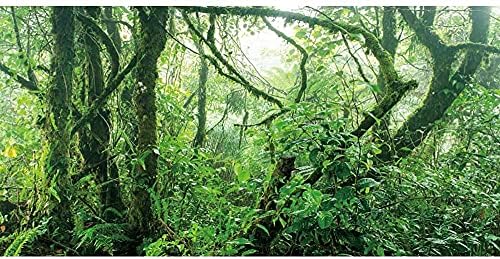 AWERT 24x12 cm Vinil Erdő Terrárium Háttér Trópusi Esőerdő, Akvárium Háttér, Ködös Zöld Növények Napsugár a Fák Hüllő Élőhely