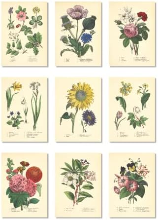 Tinta Inc. Régi Botanikus Nyomtat | Kerti Virágok, Virágos Wall Art | Rózsa, Napraforgó Dahlia | Cottagecore Bohém Farmhous