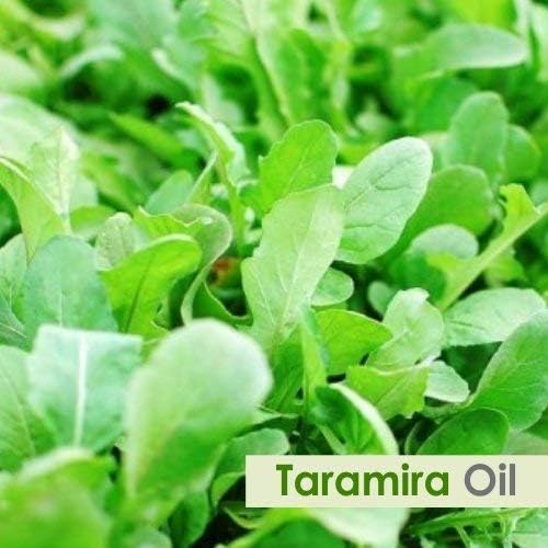 Taramira (Eruca Sativa) illóolaj Pure & Natural - Hígítatlan Vágatlan Prémium Olaj - Használja az Aromaterápia - Terápiás
