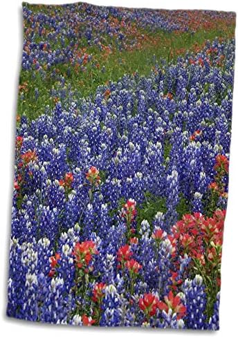 3dRose - Danita Delimont - Virágok - Texas Hill Country Vadvirágok. Búzavirág, Indiai Ecset - Törölköző (twl-332109-1)